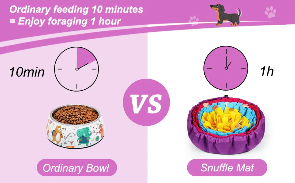 Interactive Pet Snuffle Mat