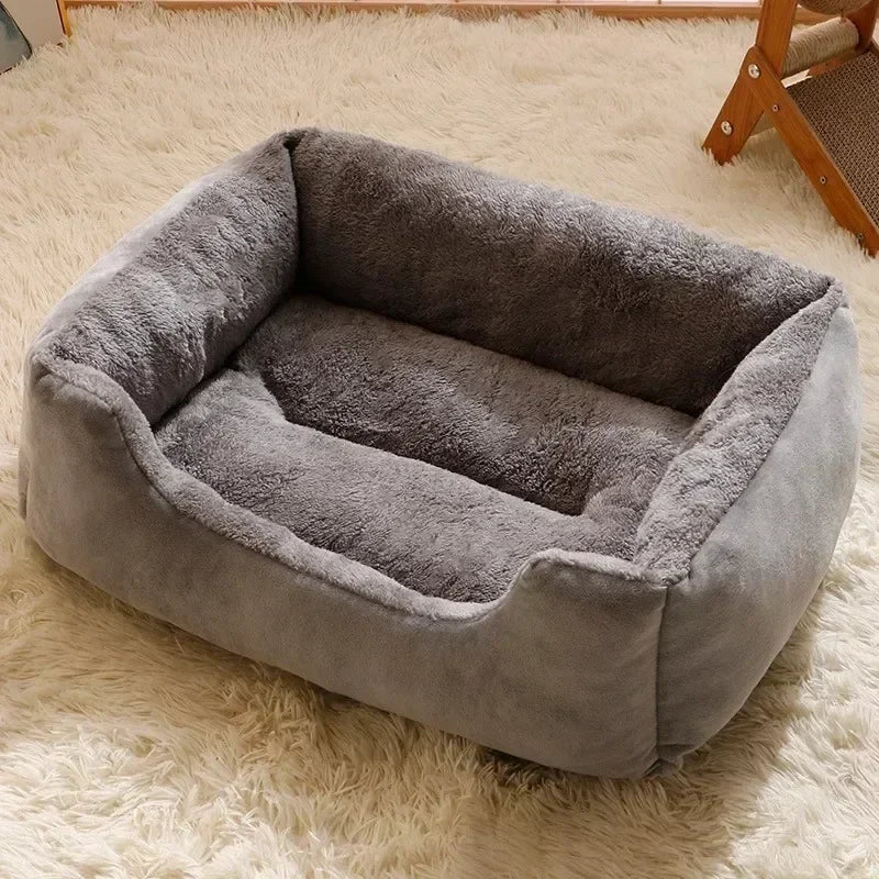 Bed for Cats Pet Products Cushions Kitten Goods Accessories Dog All Home Supplies Things Accessory Habitats Basket House Beds