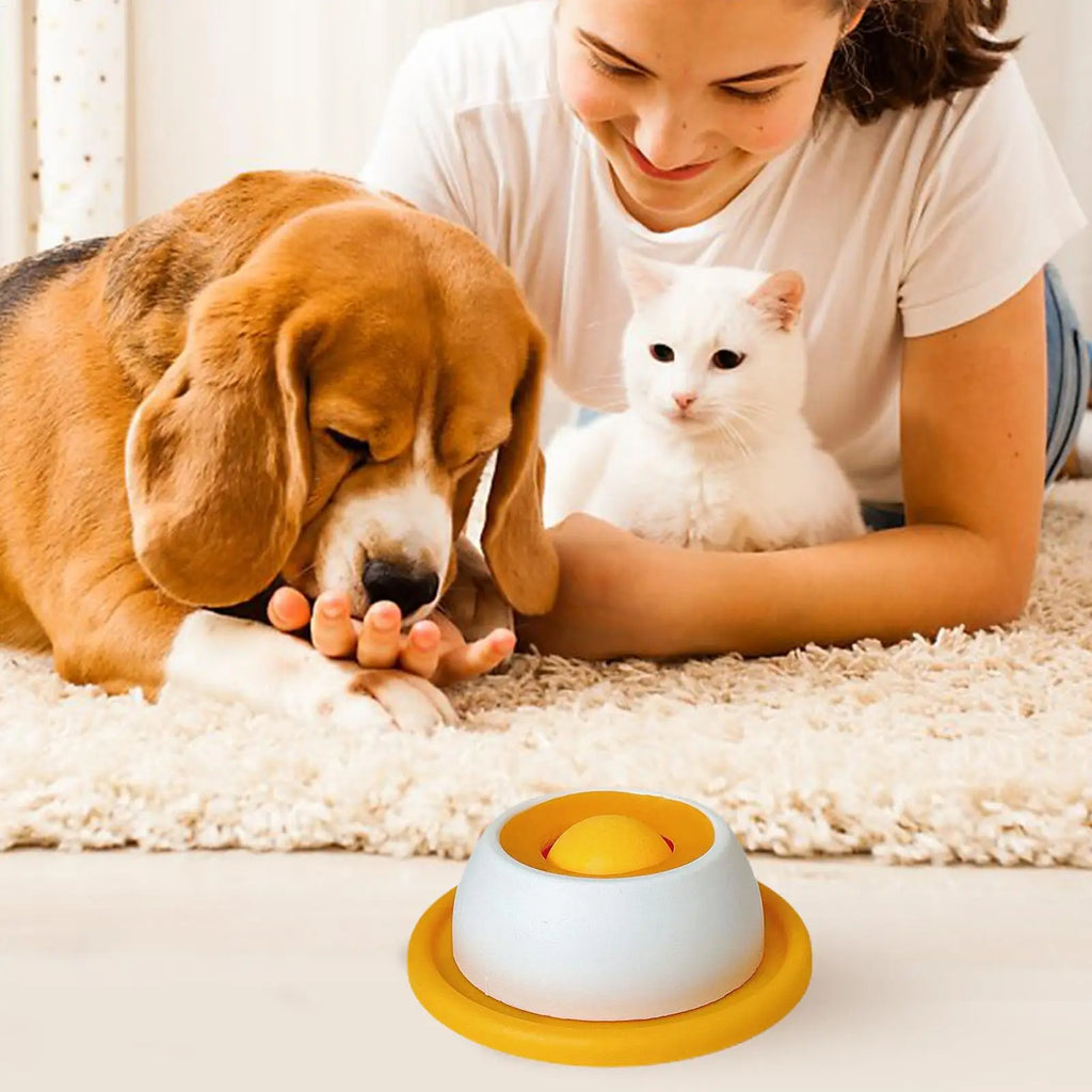 Pet Feeder Bowl
