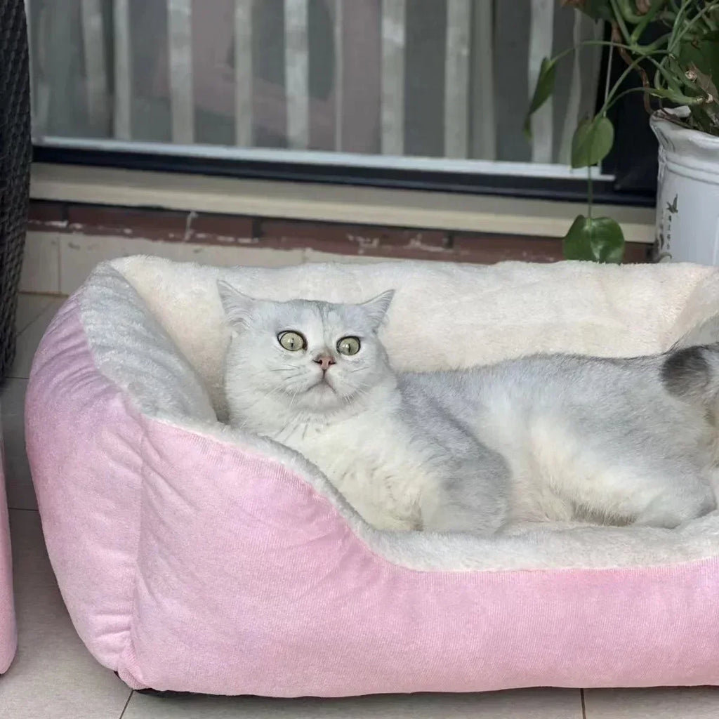 Bed for Cats Pet Products Cushions Kitten Goods Accessories Dog All Home Supplies Things Accessory Habitats Basket House Beds