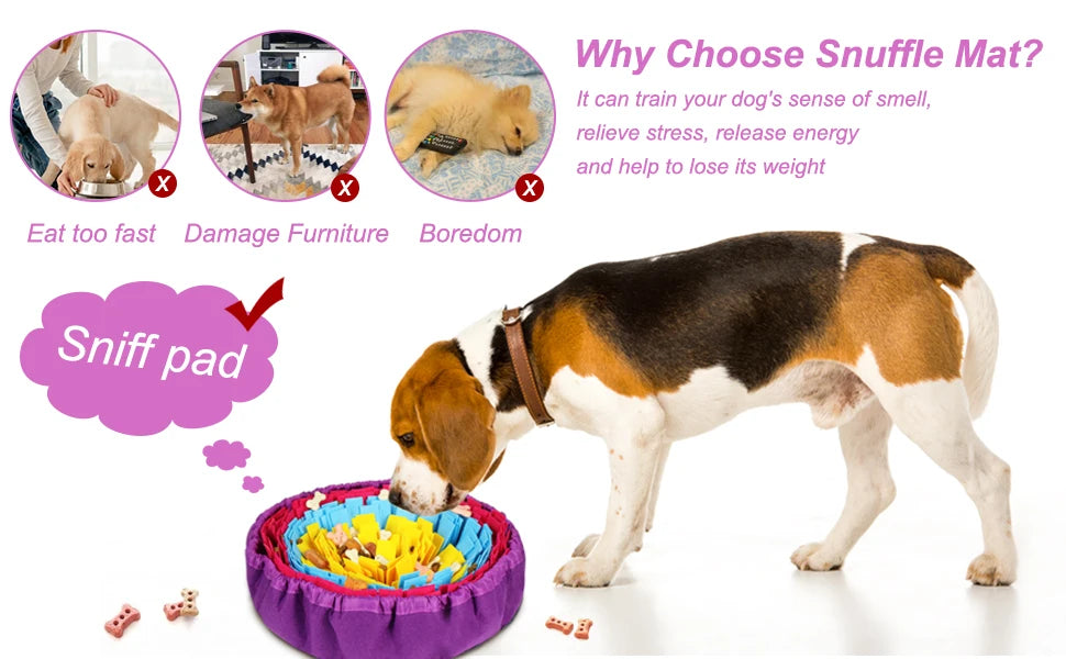 Interactive Pet Snuffle Mat