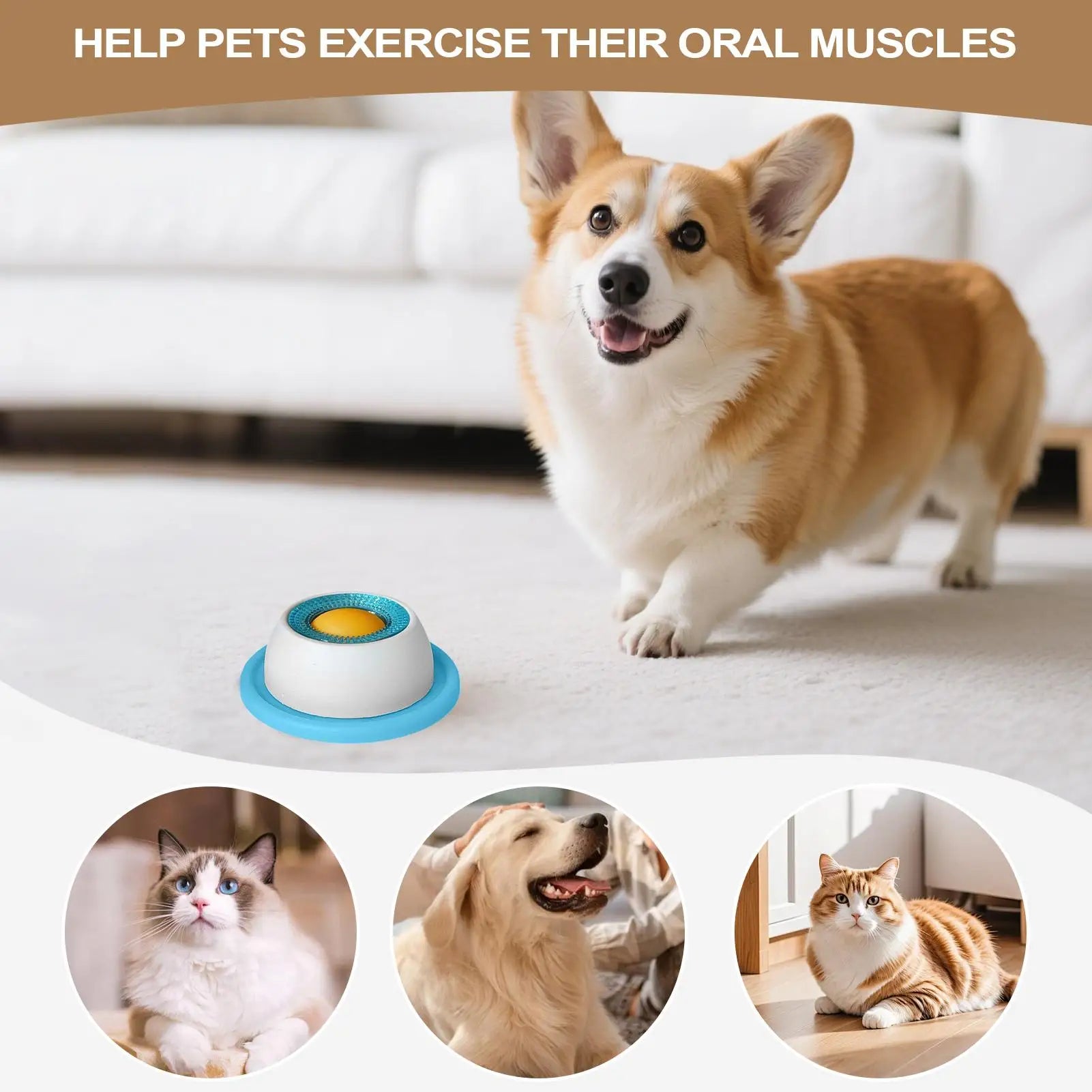 Pet Feeder Bowl