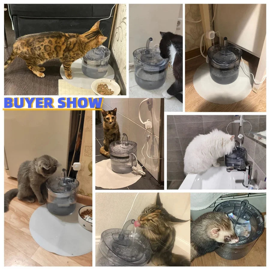 Pet Water Fountain with Filter
