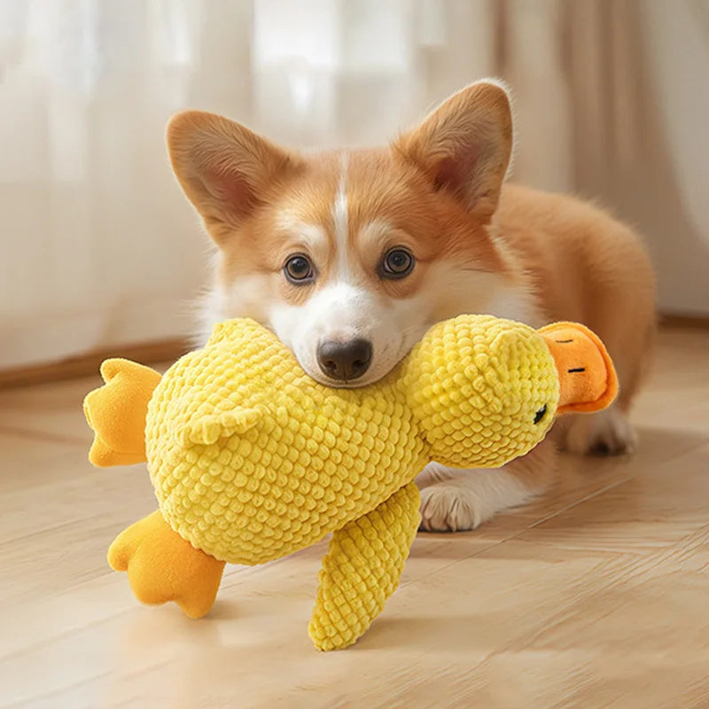 Duck Plush Toy