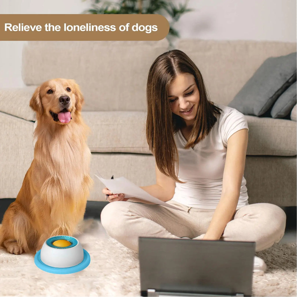 Pet Feeder Bowl