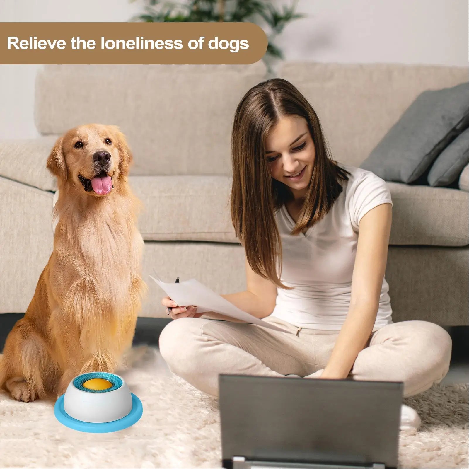 Pet Feeder Bowl