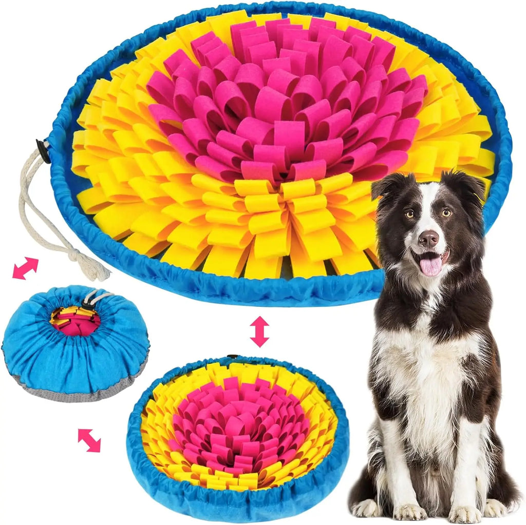 Interactive Pet Snuffle Mat