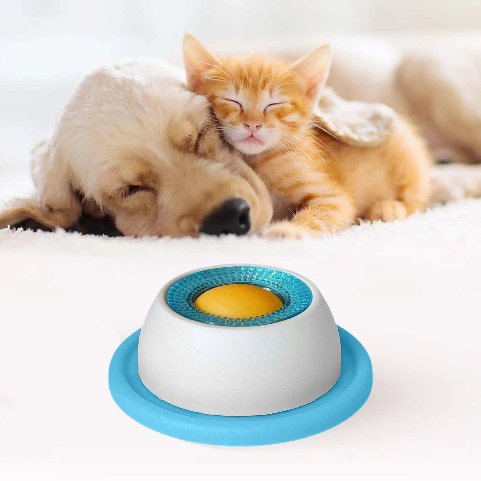 Pet Feeder Bowl