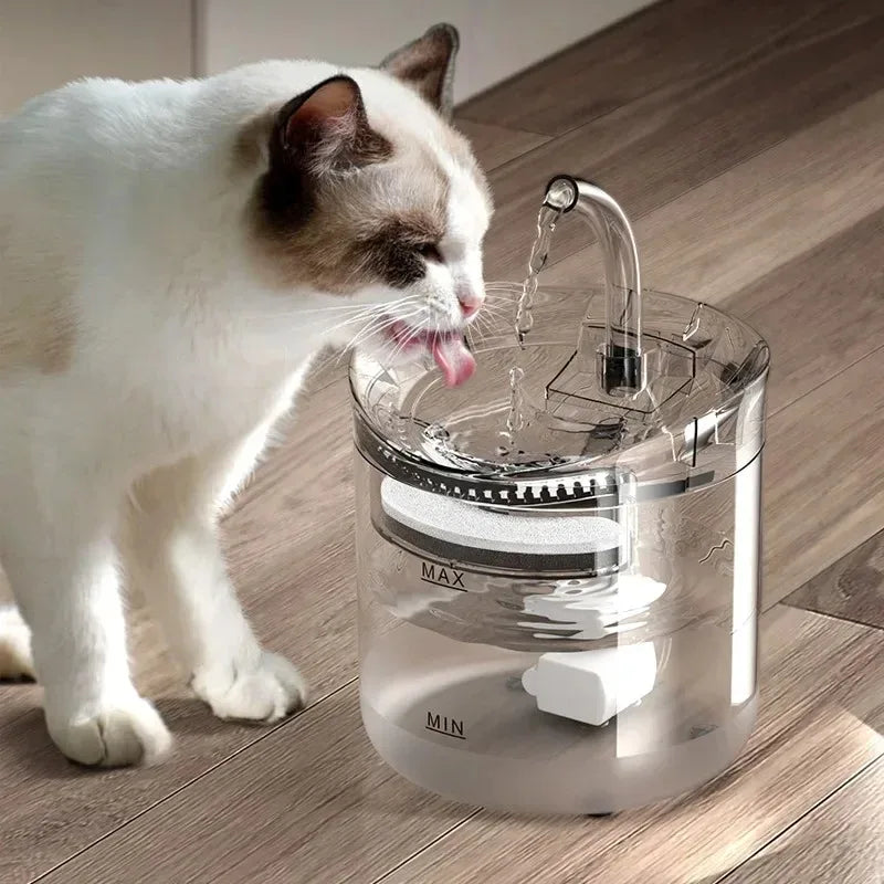 Pet Water Fountain with Filter