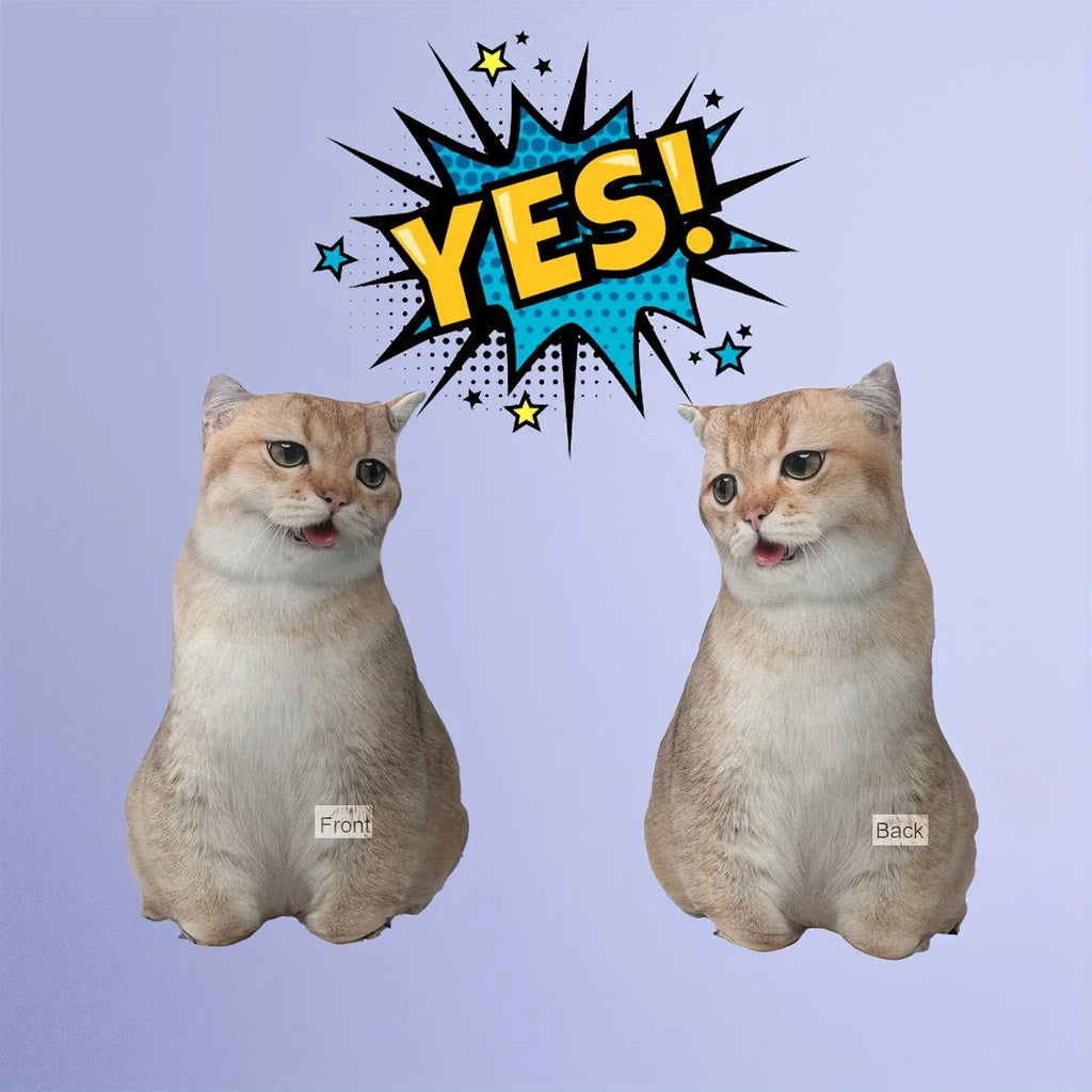 Funny Cat Pillow