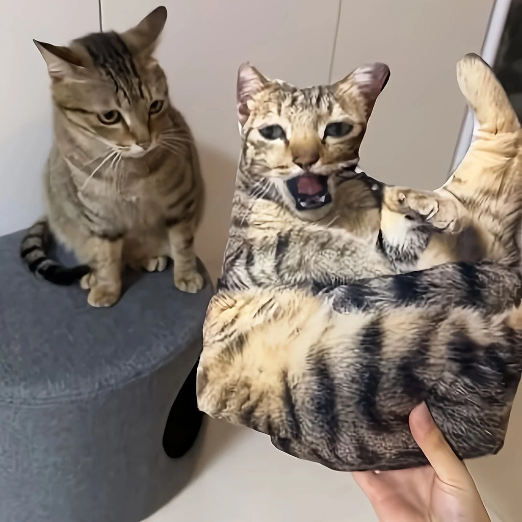 Funny Cat Pillow