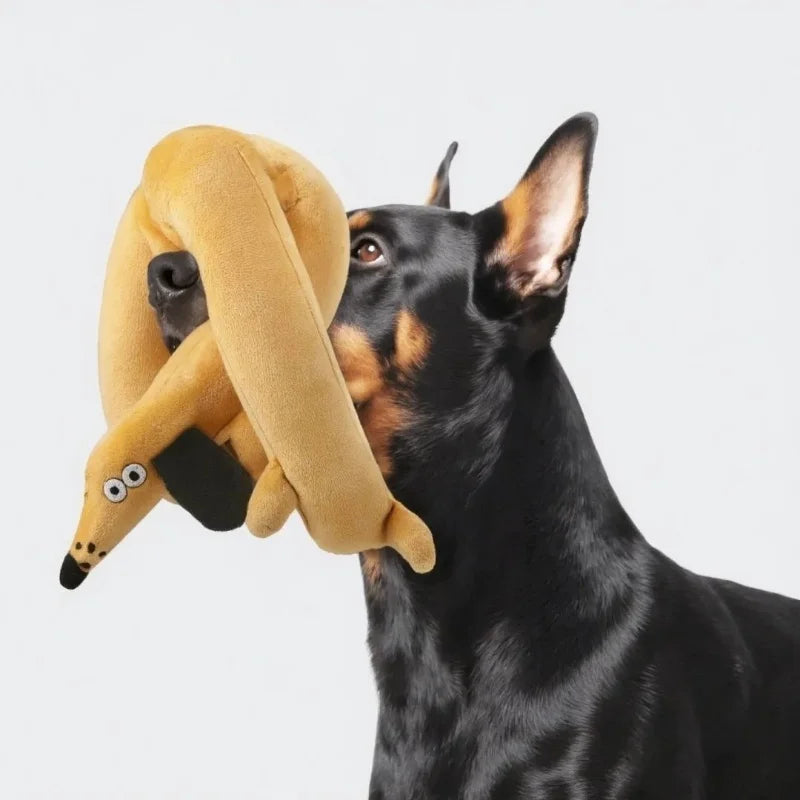 Snail Shaped Pet Toy