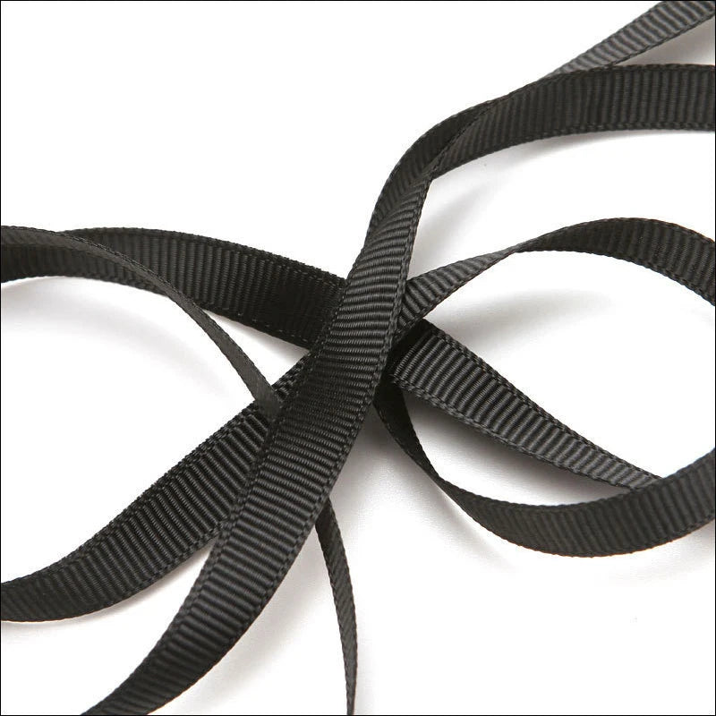 Retractable Dog Lead