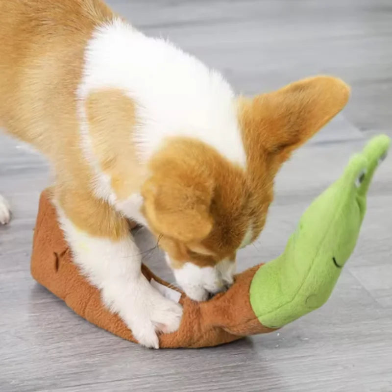 Snail Shaped Pet Toy